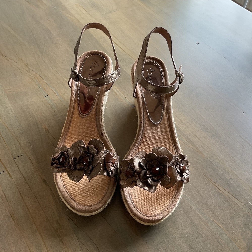 BareTraps Bronze Wedge Sandals